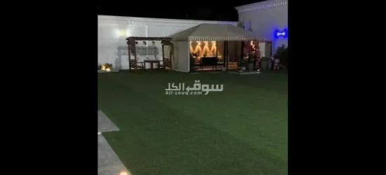 شالي الاجار اليومي