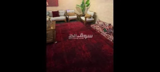 شالي الاجار اليومي - 4