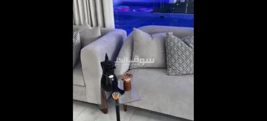 شالي الاجار اليومي - 5