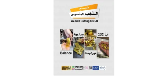 شركة حميده حسين للاستشارات التجارية والاستثمار - 4