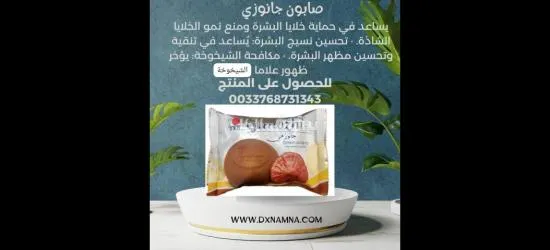 آني أمنة الهمامي مستثمر عالمي بمشروع تجاري ابحث عن شركاء مجاني - 2