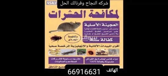 (شركه النجاح)لمكافحة الحشرات والقوارض