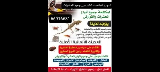 (شركه النجاح)لمكافحة الحشرات والقوارض - 2