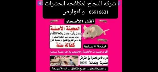 (شركه النجاح)لمكافحة الحشرات والقوارض - 7