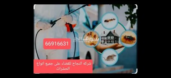 (شركه النجاح)لمكافحة الحشرات والقوارض - 8
