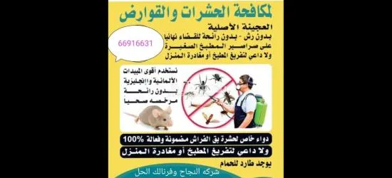 (شركه النجاح)لمكافحة الحشرات والقوارض - 9