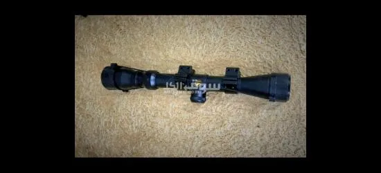 دربیل جامو امريكي