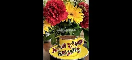 فرص عمل مطلوب موظفين وموظفات جميع الأعمال