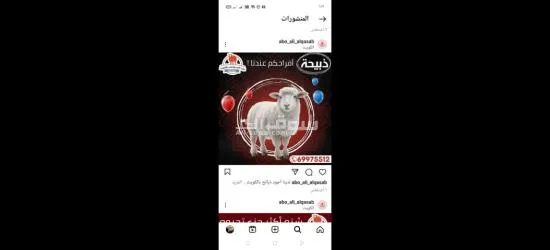 ذبايح للبيع بالكويت مع قصاب فى جميع مناطق الكويت 69975512 - 2